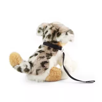 Rappa Plüss ausztrál juhászkutya pórázzal 28 cm ECO-FRIENDLY - JátékManufaktúra