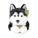 Rappa Plüss husky 36 cm ECO-FRIENDLY - JátékManufaktúra