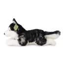 Rappa Plüss husky 36 cm ECO-FRIENDLY - JátékManufaktúra