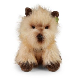 Rappa Plüss cairn terrier 30 cm ECO-FRIENDLY - JátékManufaktúra
