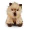 Rappa Plüss cairn terrier 30 cm ECO-FRIENDLY - JátékManufaktúra