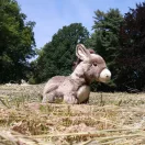 Rappa Plüss szamár 28 cm ECO-FRIENDLY - JátékManufaktúra