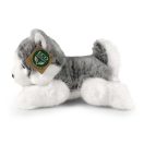 Rappa Plüss fekvő husky 20 cm ECO-FRIENDLY - JátékManufaktúra