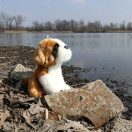 Rappa Plüss bernáthegyi 20 cm ECO-FRIENDLY - JátékManufaktúra