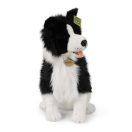 Rappa Plüss ülő border collie 40 cm ECO-FRIENDLY - JátékManufaktúra