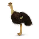 Rappa Plüss emu 28 cm ECO-FRIENDLY - JátékManufaktúra