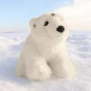 Rappa Plüss jegesmedve 30 cm ECO-FRIENDLY - JátékManufaktúra