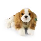 Rappa Plüss Cavalier King Charles spániel 40 cm ECO-FRIENDLY - JátékManufaktúra