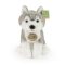 Rappa Plüss ülő husky 23 cm SOFT COLLECTION, ECO-FRIENDLY - JátékManufaktúra