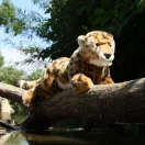 Rappa Plüss gepárd 48 cm ECO-FRIENDLY - JátékManufaktúra