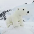 Rappa plüss jegesmedve álló 30 cm ECO-FRIENDLY - JátékManufaktúra