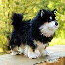 Rappa - Lapinkoira kutya plüss 33 cm ECO-FRIENDLY - JátékManufaktúra