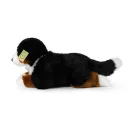 Rappa  Plüss berni pásztorkutya 34 cm ECO-FRIENDLY