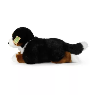 Rappa  Plüss berni pásztorkutya 34 cm ECO-FRIENDLY