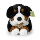 Rappa Plyšový pes bernský salašnícky 34 cm ECO-FRIENDLY