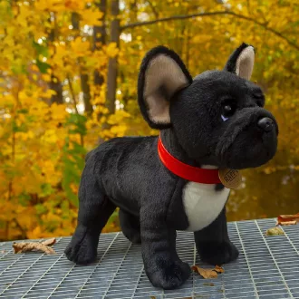 Rappa Plüss fekete francia bulldog nyakörvvel, álló 30 cm ECO-FRIENDLY - JátékManufaktúra