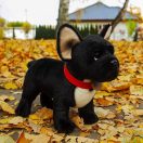 Rappa Plüss fekete francia bulldog nyakörvvel, álló 30 cm ECO-FRIENDLY - JátékManufaktúra