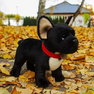 Rappa Plüss fekete francia bulldog nyakörvvel, álló 30 cm ECO-FRIENDLY - JátékManufaktúra