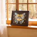 RoboTime - Fa puzzle: Morpho Helena pillangó - JátékManufaktúra