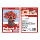 RoboTime - 3D fa dekoráció: Karácsonyi csillag - JátékManufaktúra