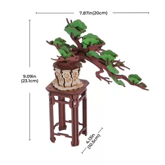 RoboTime - 3D fa készlet, Bonsai fenyő - JátékManufaktúra