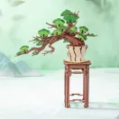 RoboTime - 3D fa készlet, Bonsai fenyő - JátékManufaktúra