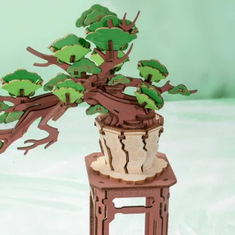 RoboTime - 3D fa készlet, Bonsai fenyő - JátékManufaktúra
