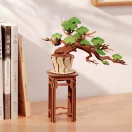 RoboTime - 3D fa készlet, Bonsai fenyő - JátékManufaktúra