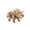 Ugears 3D fa mechanikus puzzle - Triceratops - JátékManufaktúra