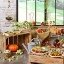 Vilac - Zöldséges kert szoliter játék - JátékManufaktúra