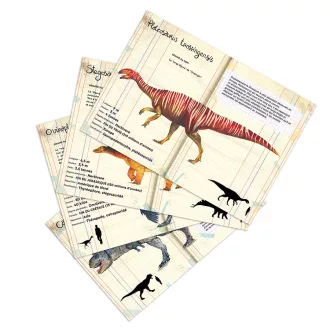 Vilac - Fa mágnesek: Dinoszauruszok - JátékManufaktúra