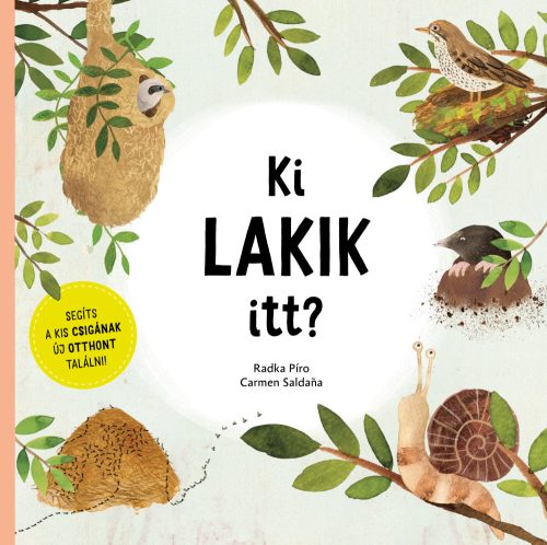Ki lakik itt?Segíts a kis csigának új otthont találni!