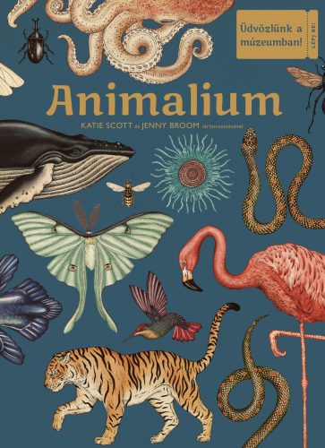Animalium – Üdvözlünk a múzeumban