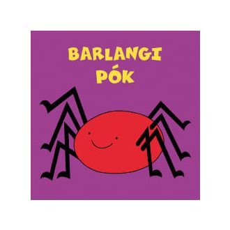 Barlangi pók
