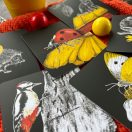 Színes kontraszt kártyák babáknak