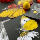 Színes kontraszt kártyák babáknak