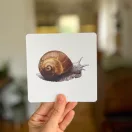 Kert körüli állatok - párosító játék kicsiknek