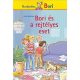 Bori és a rejtélyes eset - Barátnőm, Bori