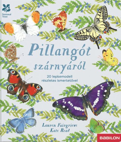 Pillangót szárnyáról – 20 lepkemodell részletes ismertetővel